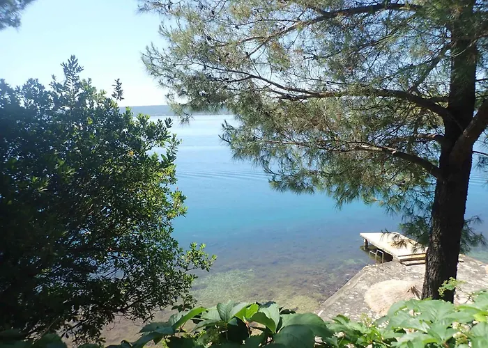 Kompleks wypoczynkowy Mobilehome In - Paklenica Riviera 51117